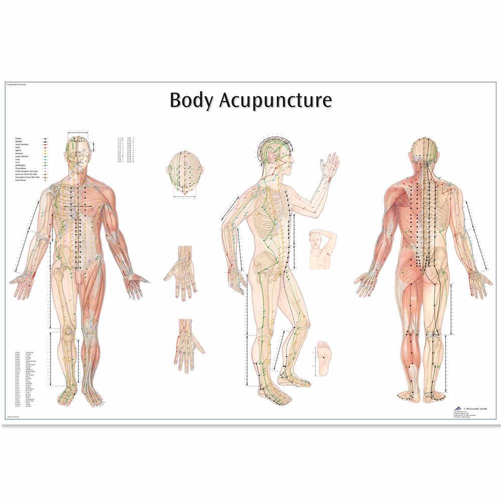 1. Acupuncture Charts