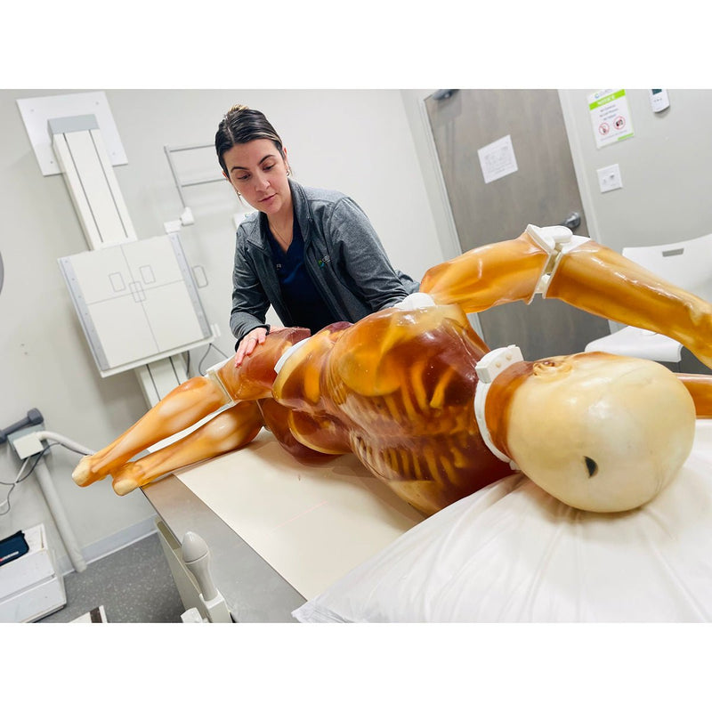 Adult Full Human Body Phantom for X-Ray CT & MRI Training