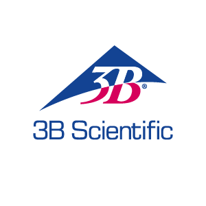 3B Scientific