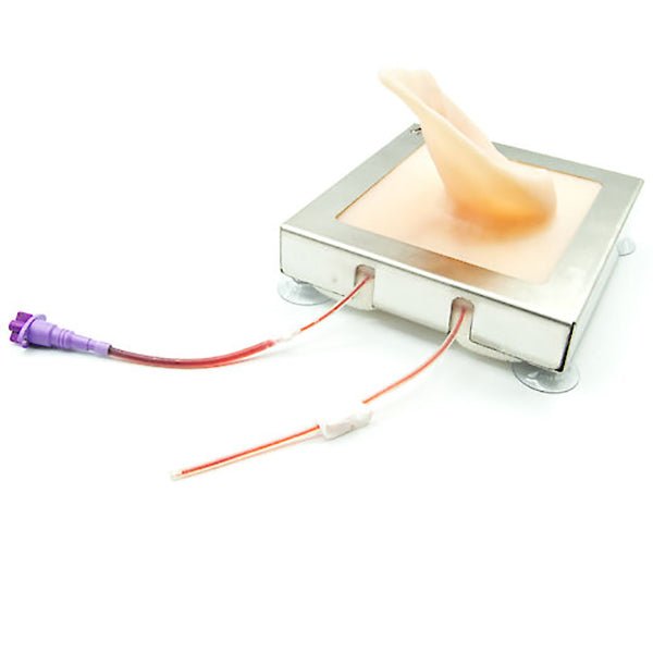 Pig Ear Venipuncture and Catheter Training Model