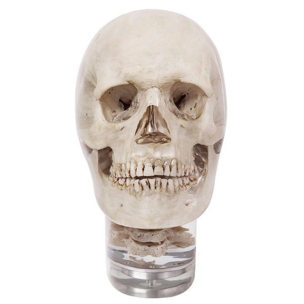 小物 SomniumFragment Youmu Konpaku: Half-Human Half-Phantom Gardener Ver. 1/7