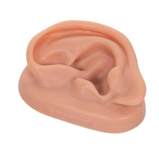 Acupuncture Ear Model, Left