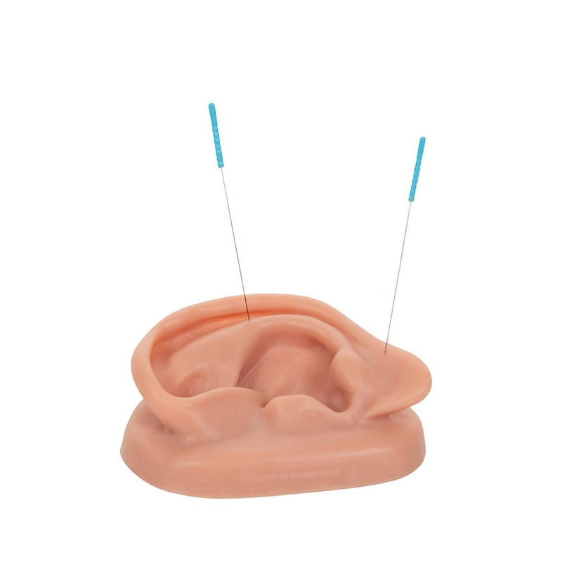 Acupuncture Ear Models, Set for 10 Students