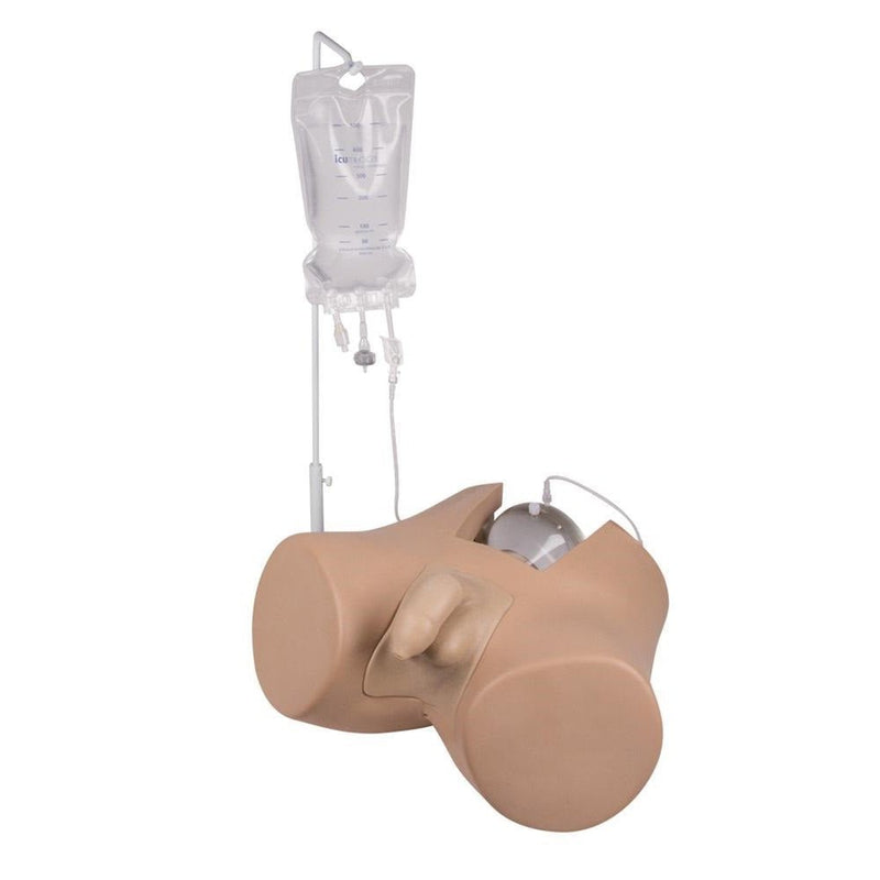 Advanced Bladder Catheterization Simulator Henri, Male