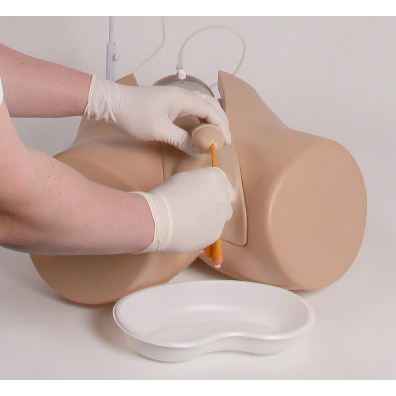 Advanced Catheterization Trainer with Male and Female Genital Insert