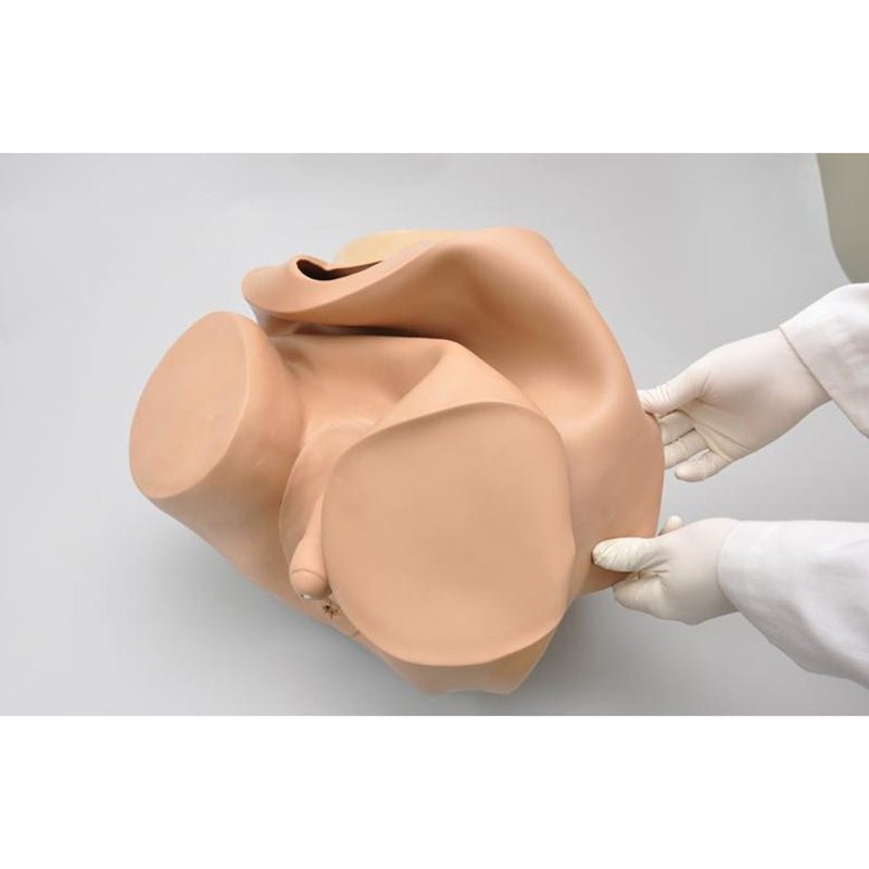 Advanced Patient Care Male Prostate Simulator, Medium