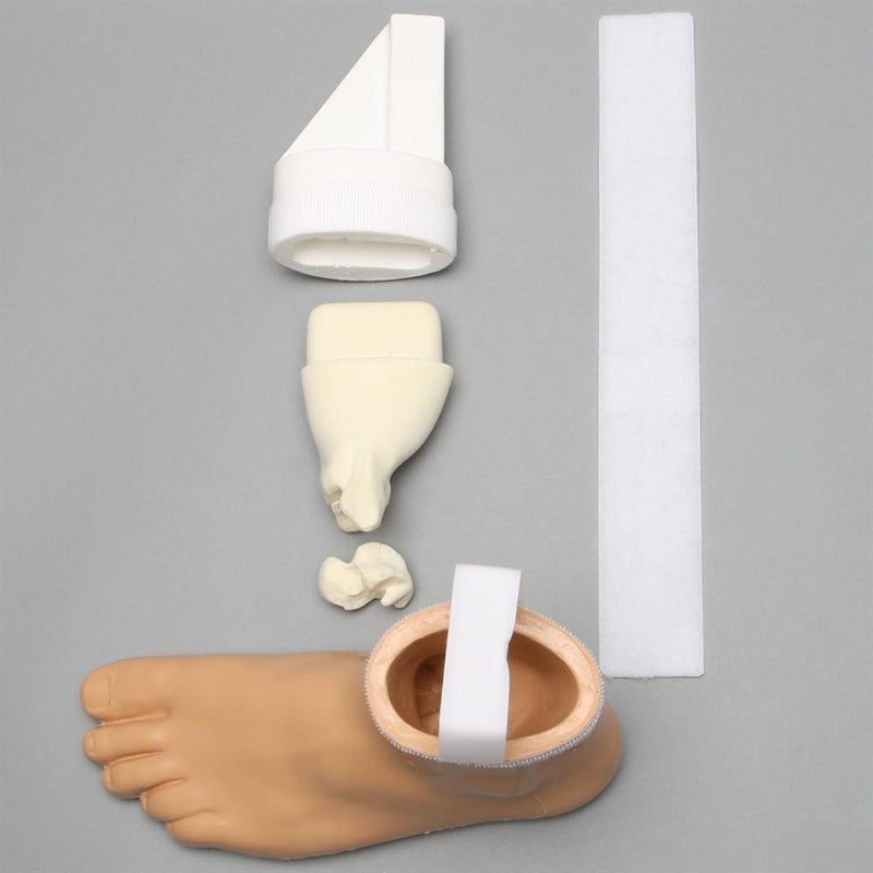 Arthroscopy Foot and Ankle Model