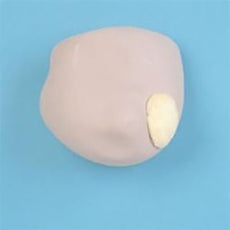 Breast Examination Simulator - Breast Replacement, Right
