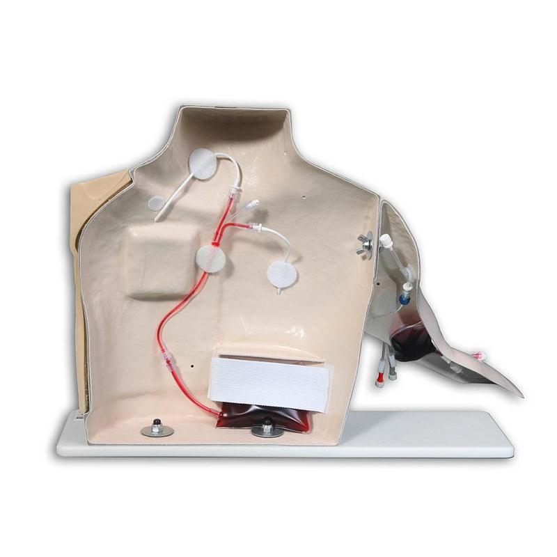 Chester Chest™ Vascular Access Simulator With Port Access Arm, Light