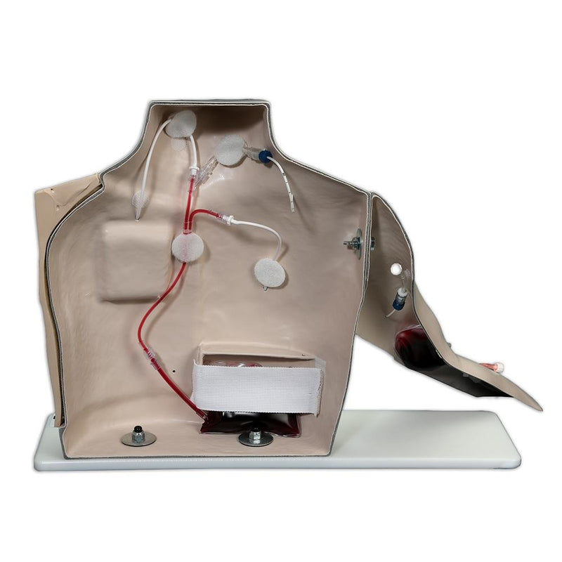Chester Chest™ Vascular Access Simulator With Standard Arm, Light
