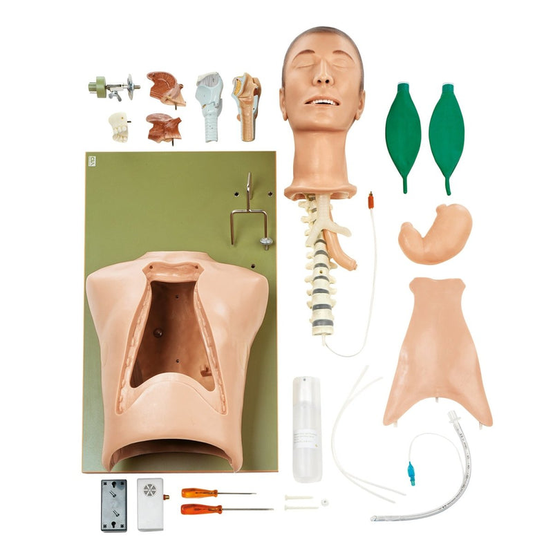CLA Intubation Torso Model with Case