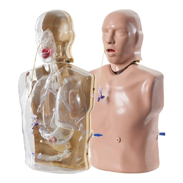 CORMAN - Adult Nasogastric and Nasojejunal Feeding Trainer, Light Skin