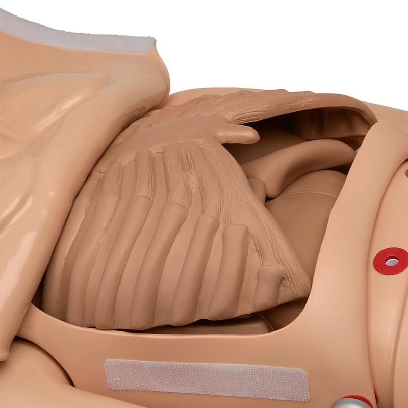 CPR Susie® Advanced Patient Care Simulator, Light