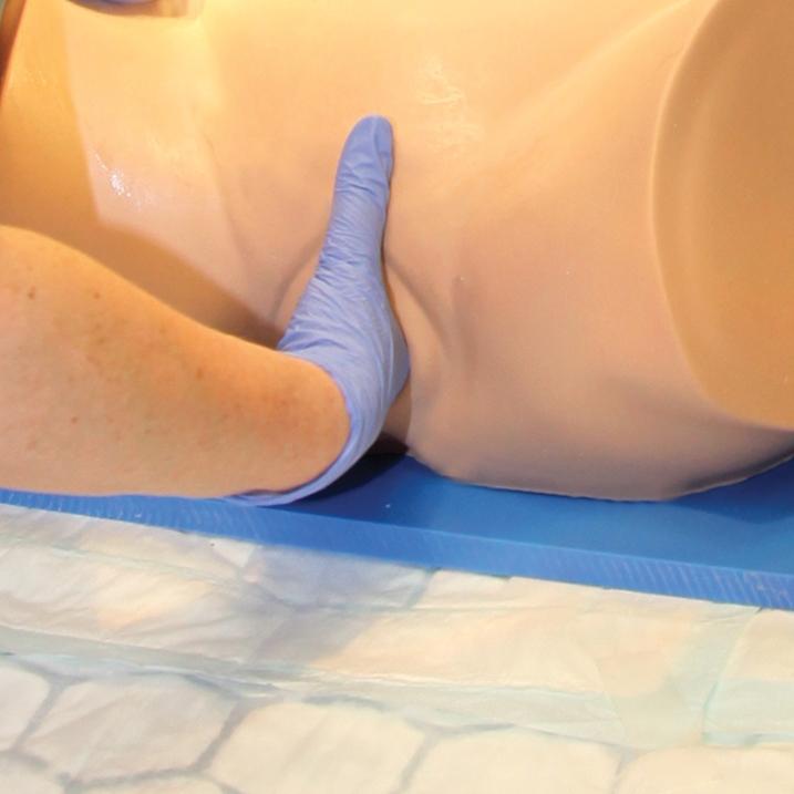 DESPERATE DEBRA® - Impacted Fetal Head Simulator