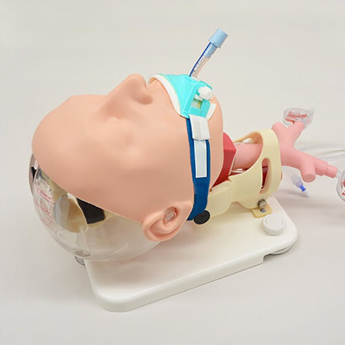 Difficult Airway Management Demonstration Model