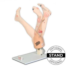Display Stand for Vinnie or Annie Insufficiency Leg