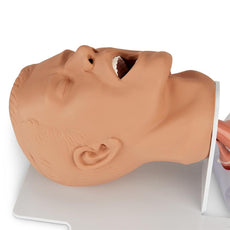 Economy Adult Airway Management Trainer with Board