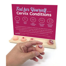Feel For Yourself: Cervix Conditions Display