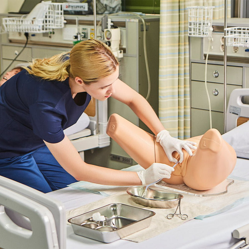 Female Catheterization Simulator