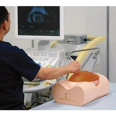 Fetus Ultrasound Exam Phantom SPACE FAN-ST