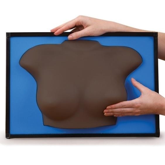 Group BSE-Breast Self-Examination Model, Brown