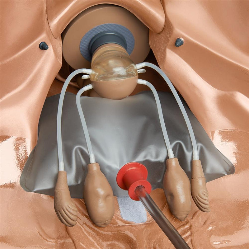 GYN-AID® Gynecologic Simulator, Medium