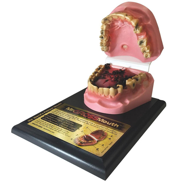 the totally disgusting tobacco gross out video Mr. Gross Mouth