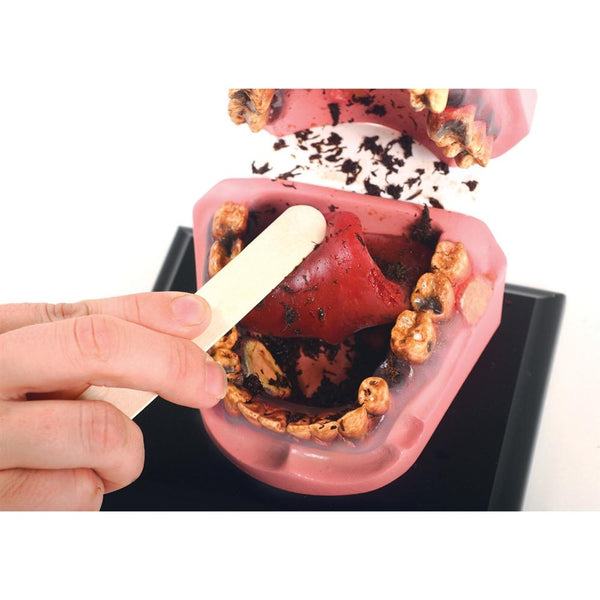 mr-gross-mouth-he-79152-