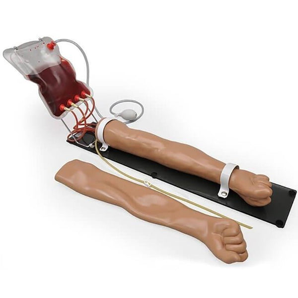 Multipurpose Venous Training Arm | Venipuncture Training Arm