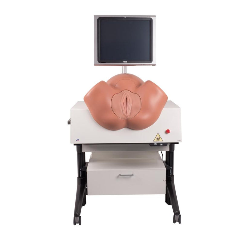 NEW SIMone™ Birthing Simulator