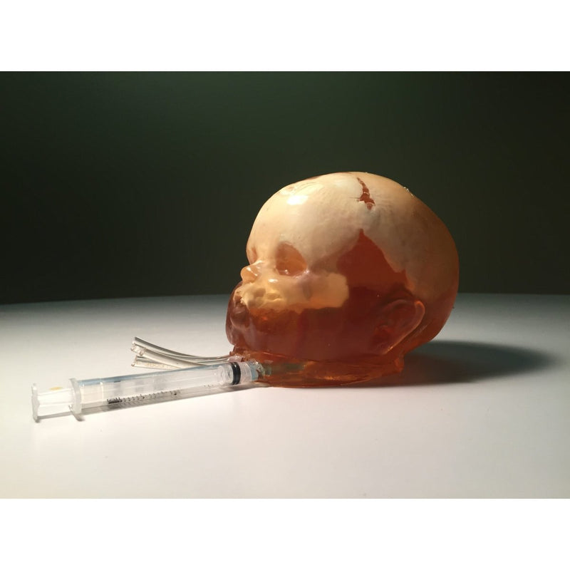 Newborn Head for Ultrasound, MRI and CT applications (Dynamic)