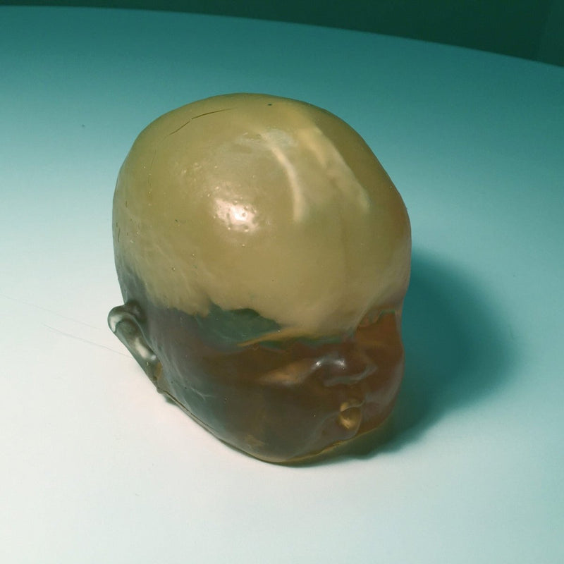 Newborn Head Phantom for X-Ray CT and Ultrasound Training (Simple)