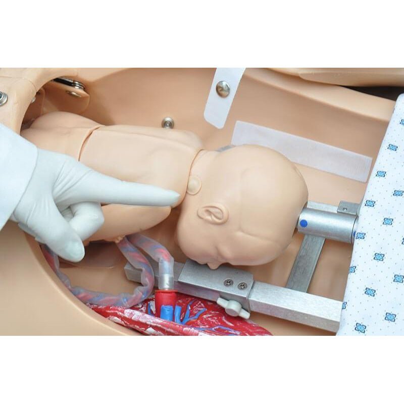 NOELLE® Maternal Birthing Simulator with PEDI® Blue Neonate, Light