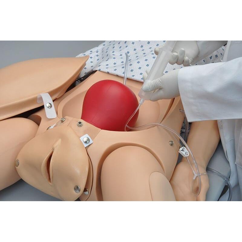 NOELLE® Maternal Birthing Simulator with Resuscitation Neonatal, Light