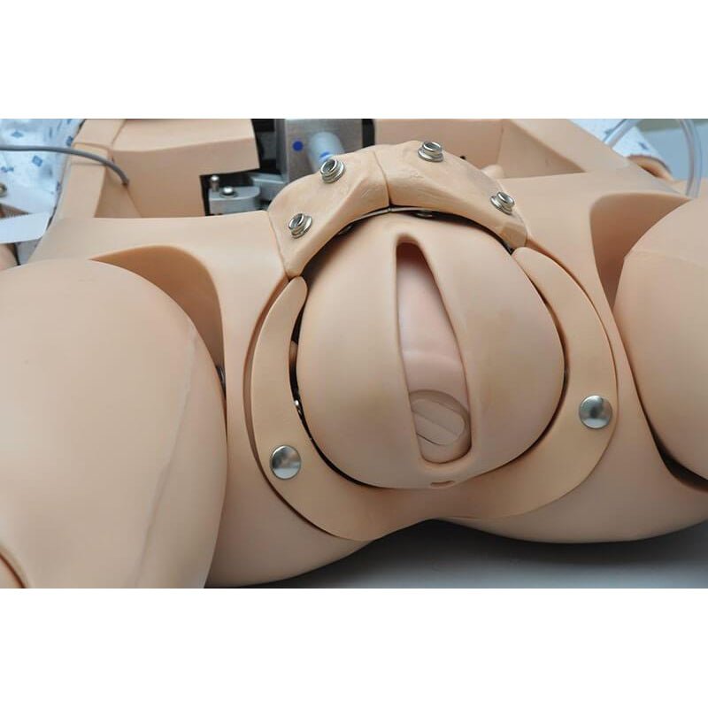 NOELLE® Maternal Birthing Simulator with Resuscitation Neonatal, Medium