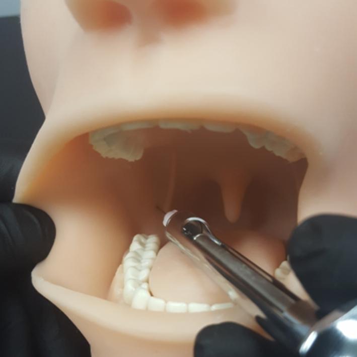 Oral Anesthesia Manikin Trainer with Light AND Sound Sensors