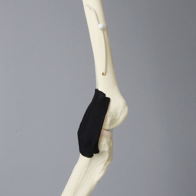 Replacement Knee Insert, Encapsulated ACL with Adjustable Ligament