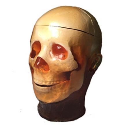 Static Adult Head Phantom for X-Ray CT, Ultrasound and MRI
