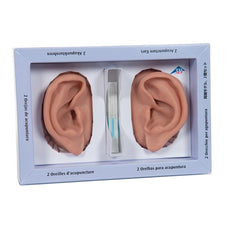 Two Acupuncture Ear Models