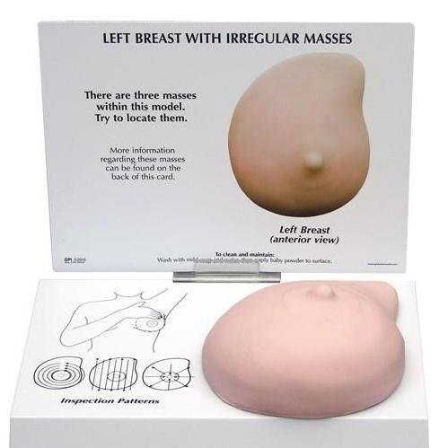 1. Breast Cancer Models Examination