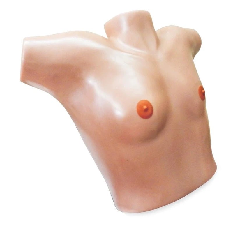 1. Breast Surgical Trainers