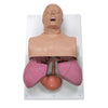1. Intubation Trainer