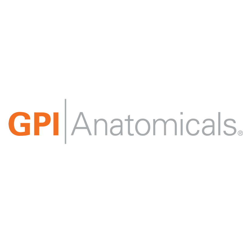 GPI Anatomicals