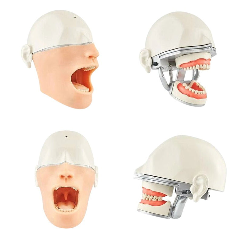 10-Sensor Oral Anesthesia Training Manikin