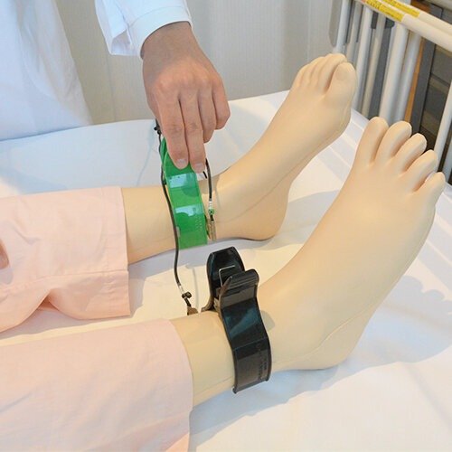 12-Lead ECG Electrode Placement Trainer