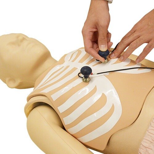 12-Lead ECG Electrode Placement Trainer