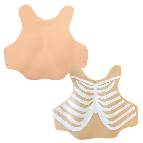 12-Lead ECG Electrode Placement Trainer