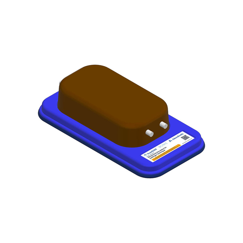 Ultrasound Simulator for Seldinger Technique
