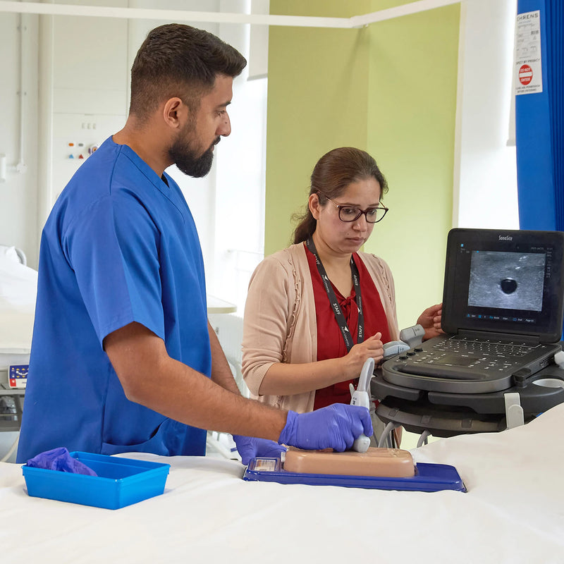 Femoral Access Ultrasound Simulator with Aneurysms