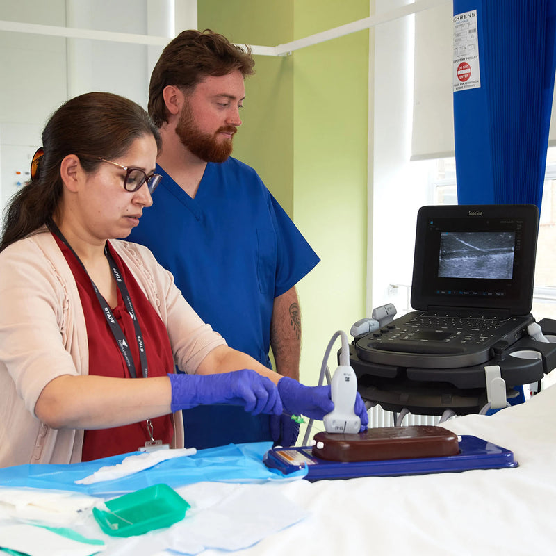Femoral Access Ultrasound Simulator with Aneurysms